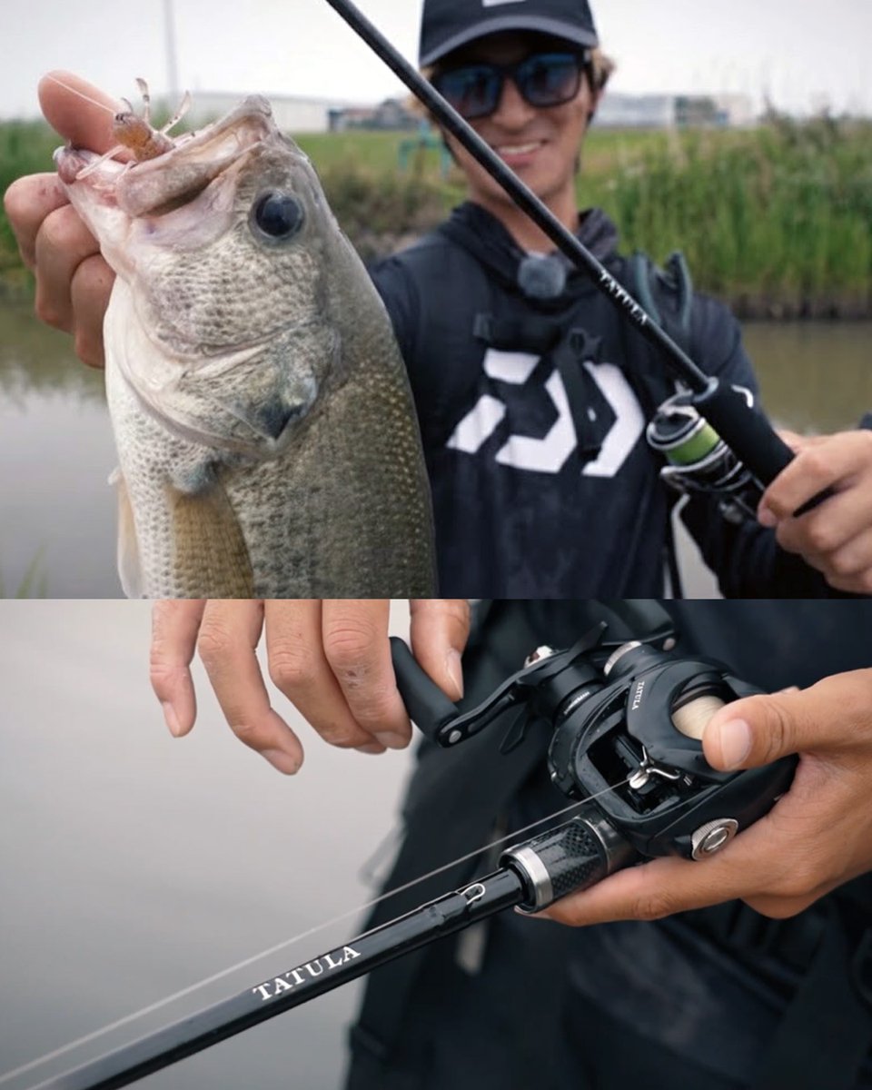 1万円台で手に入るダイワのバスロッド「タトゥーラ XT」に再注目