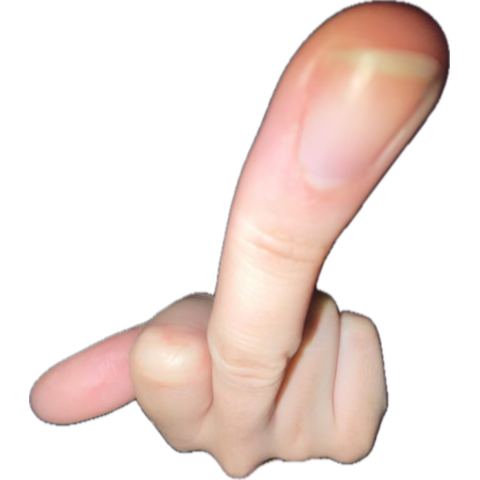 tatuarda #BBB26 tweet media