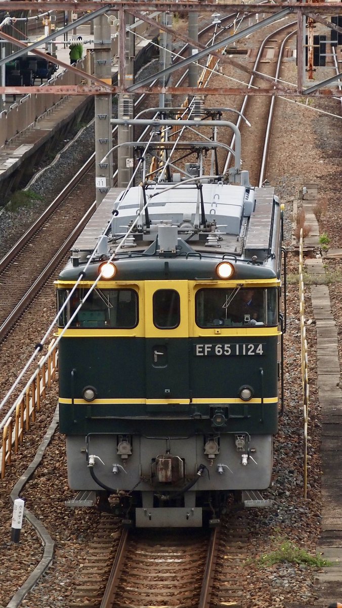 zoomingm7's tweet image. ご近所でのEF65おっかけ(*´∀｀)＊ 
07/11/19（水）単7992レ　梅小路配給
EF65 1124

ムコソにトワ継続嬉しいな

#下関機関区
#PF
#トワイライトカラー
#トワ釜
#ブルトレ世代
#ゆる鐡