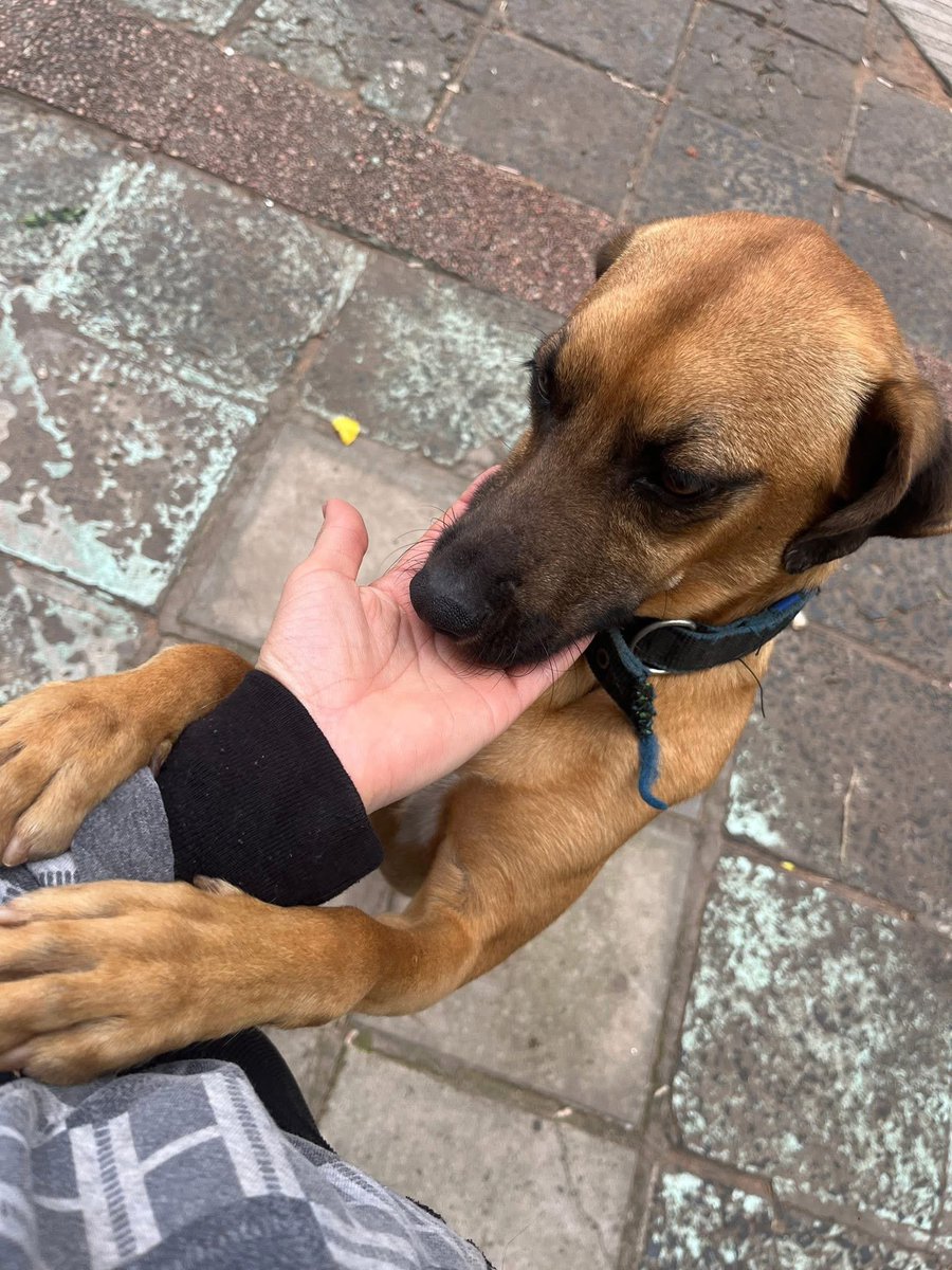 RT🙏🙏🙏🙏🙏