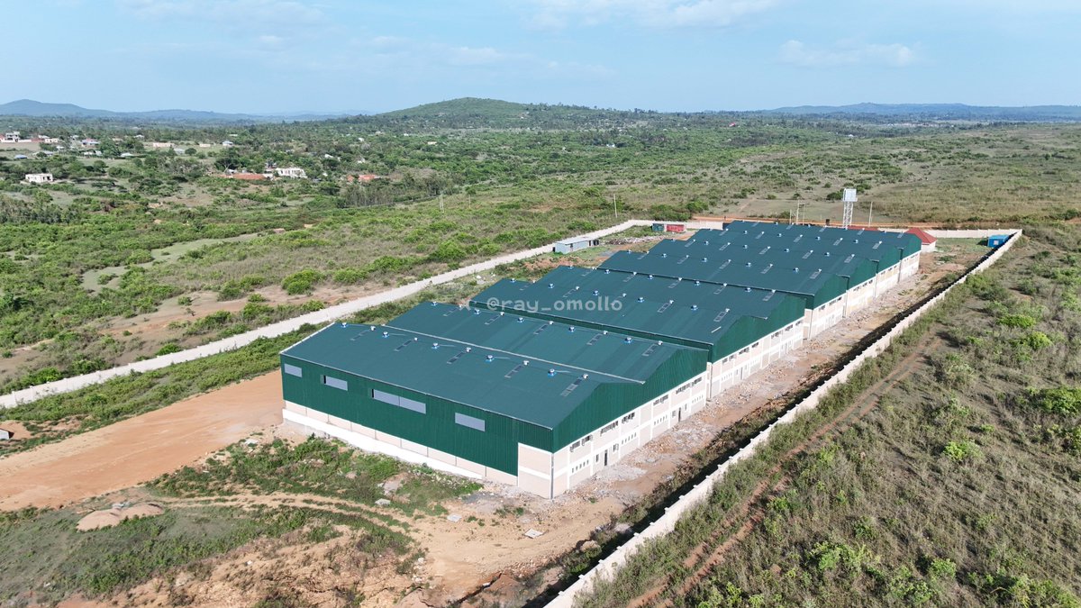 Dr. Raymond Omollo — CBS tweet media