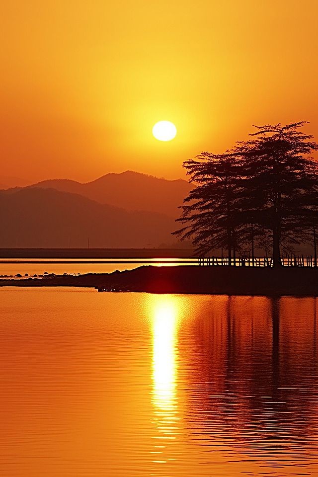 shahbazyours's tweet image. It&apos;s a new day, Good morning!

The only way to achieve your dreams is to take action. Don&apos;t wait for opportunities, create them. You have the power to make anything happen.

Every day is a chance to begin again. Don&apos;t focus on the failures if yesterday, thoughts and expectations.