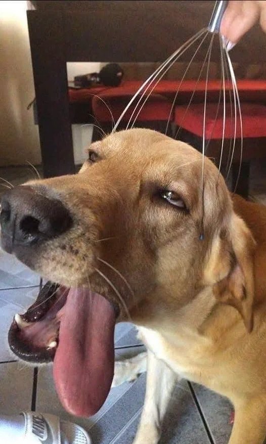 FunctionFu2858's tweet image. 好爽~不要停~~~~~~