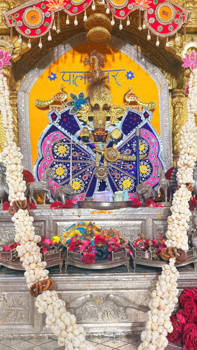 श्री सांवलिया सेठ की जय (आज के दर्शन) 19 नवंबर