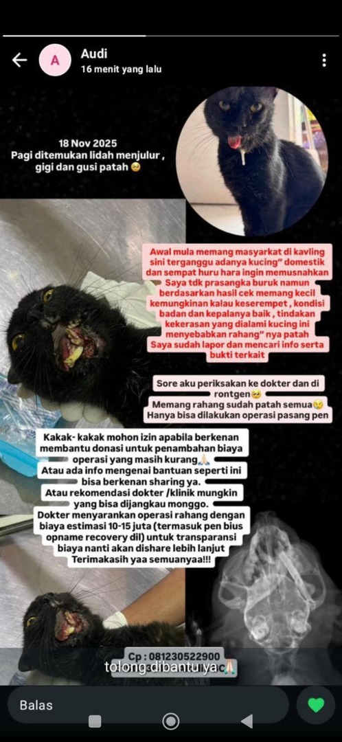 Oyi tolong bantuinn yg berkenan posting juga makasi bgt, emg biadab padahal digetak tok ikulo kucing pasti wes mlayu. Gaperlu kekerasan/penyiksaan kek ngene 🥺 Doakan smoga terkumpul yaa. Makasii