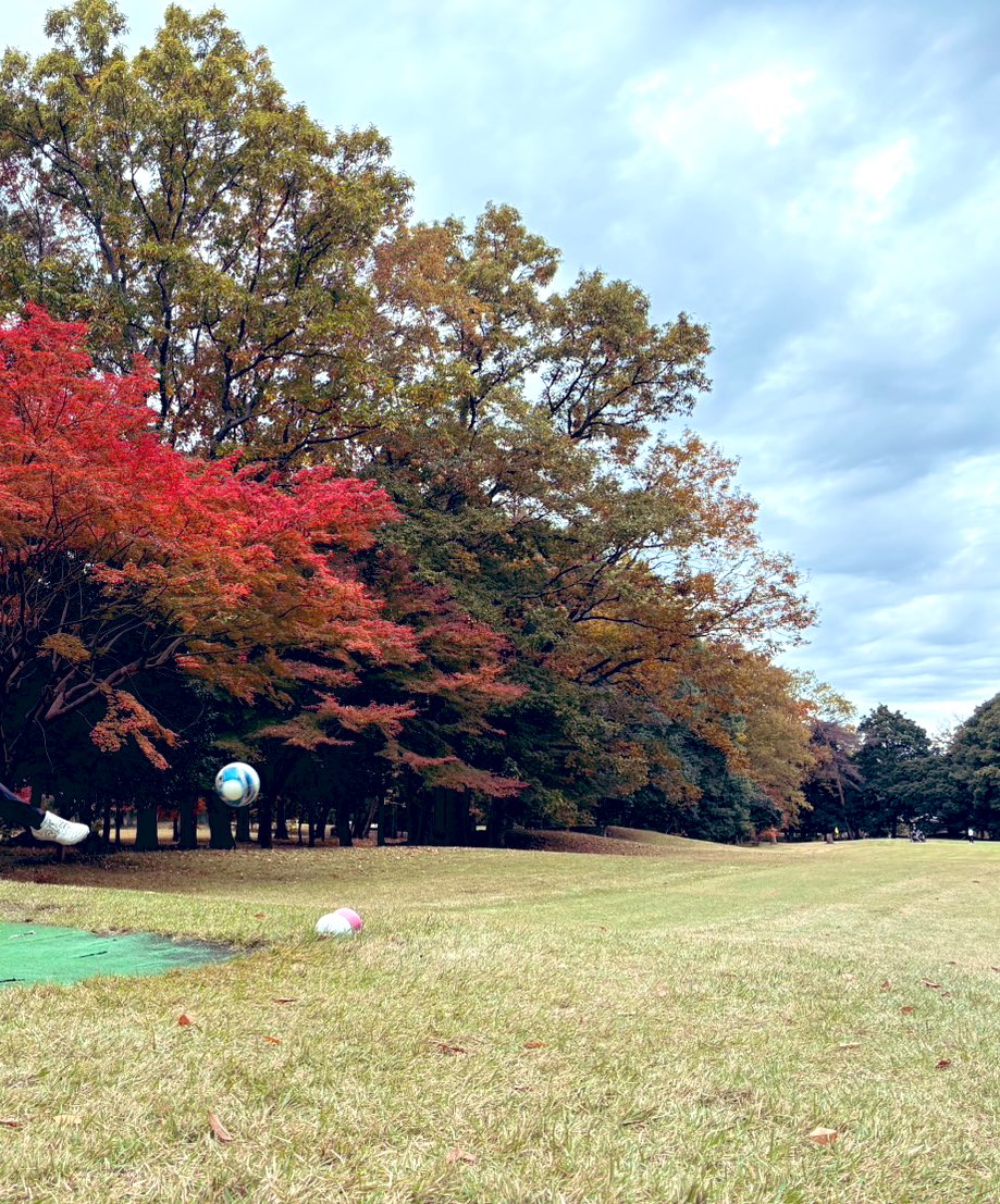 HTn_azzurosso5's tweet image. #yukyuclubfg 活動

葉もしっかり紅く染まり季節の移ろいを感じつつ、周り放題ということで冬芝の感触を味わいながら4周ガッツリ⚽️⛳️🍁

四季折々の景色を感じられるフットゴルフの魅力を再認識

@TBCfootgolf 様
ありがとうございました！
またよろしくお願いいたします🙇

@yuyuclubfg