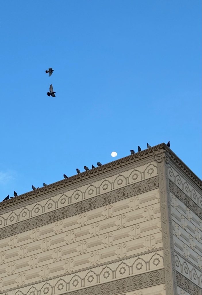 سعد محسن العضهان tweet media