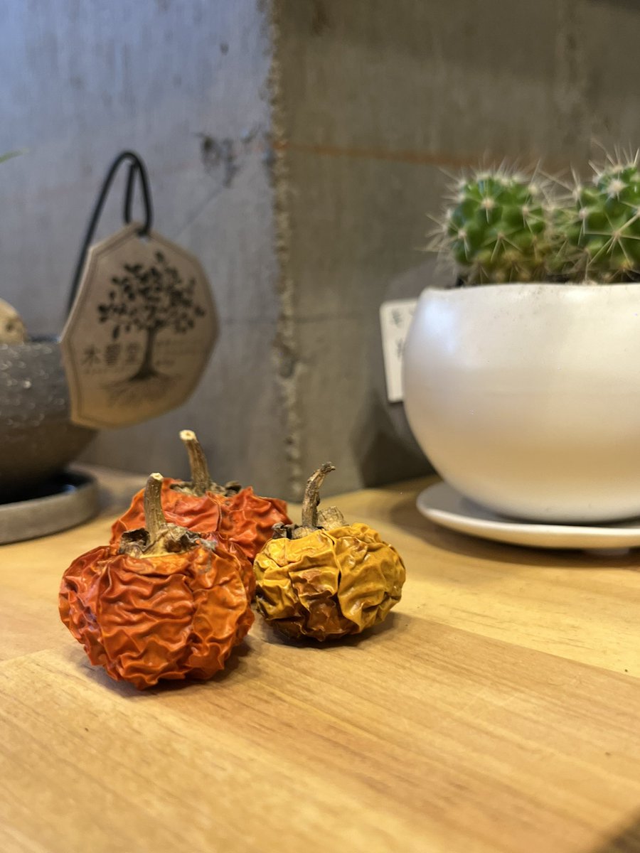 たびする こもれび、おりがみ おてがみ
@ザムザ阿佐谷
【夜公演終演後のクラフトビールタイム】

陽茶富さんがご協力くださり、木響堂でお取り扱いしているクラフトビールを終演後に販売します。
※カップに注いでご提供となります。

お話の中に登場するものがイメージできるビールを選びました！