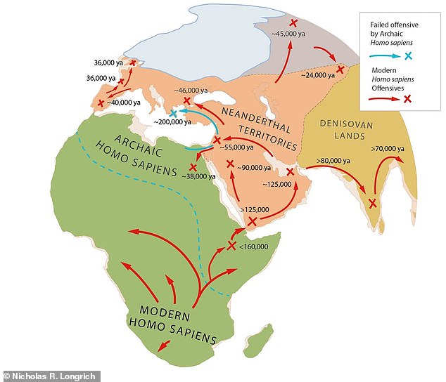 _skhmt's tweet image. Only nilotes &amp;amp; bantus have 100% homoSapien dna on earth.

We aint subHuman😂