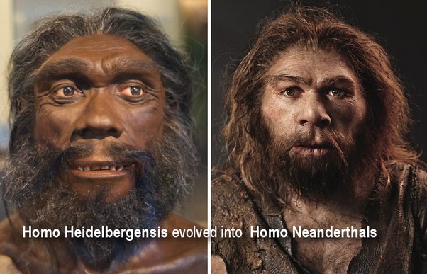 _skhmt's tweet image. Only nilotes &amp;amp; bantus have 100% homoSapien dna on earth.

We aint subHuman😂