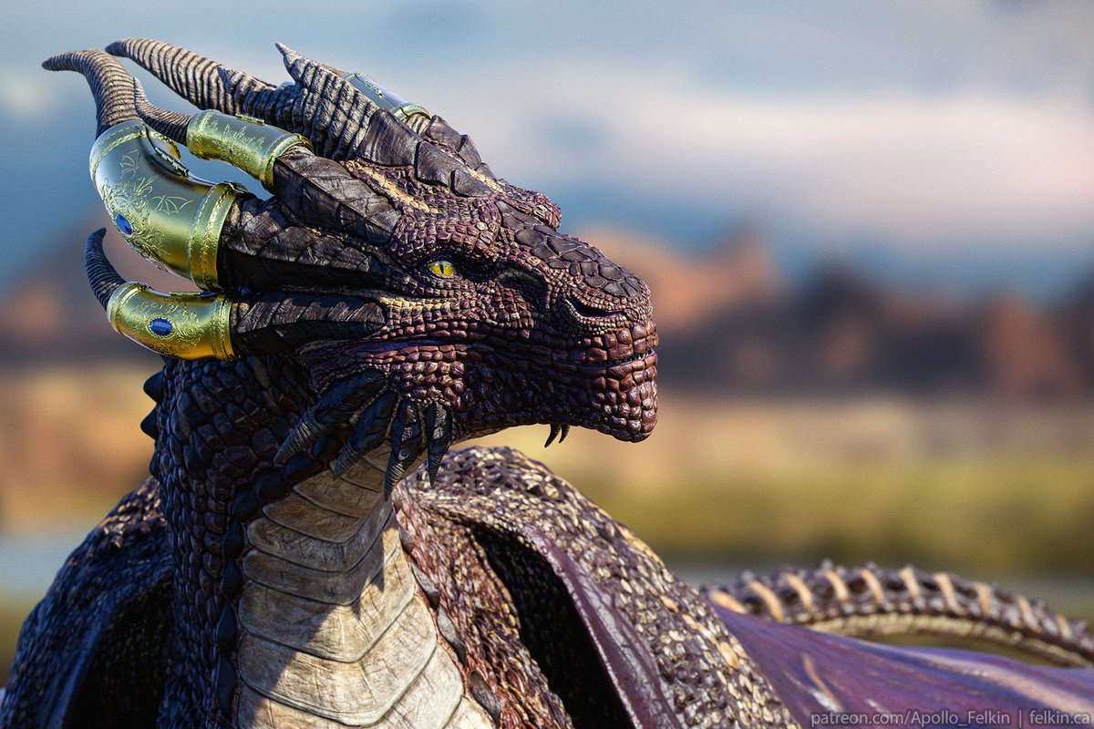 Apollo 👑 (@apollo_felkin) on Twitter photo 