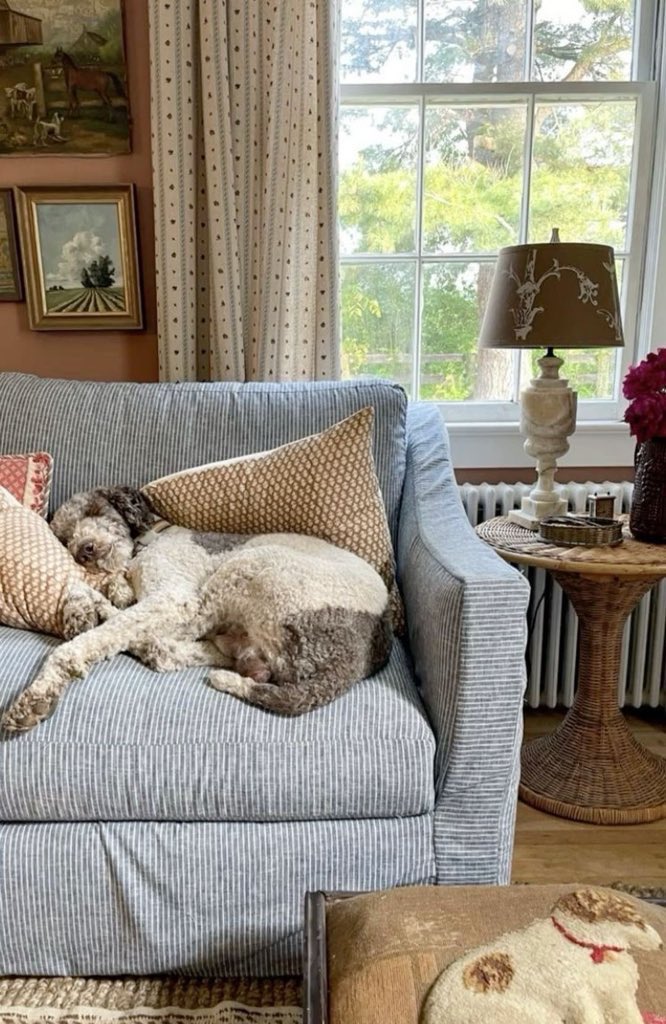 flubpy's tweet image. When the camera comes closer I automatically 
do this face… why am I like this ㅋㅋㅋ but still 
hoping you’ll think I look pretty today~ ( 📸 )