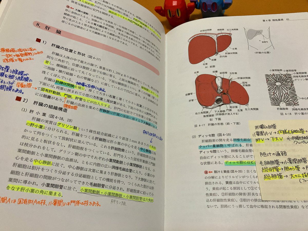ただの犬 tweet media