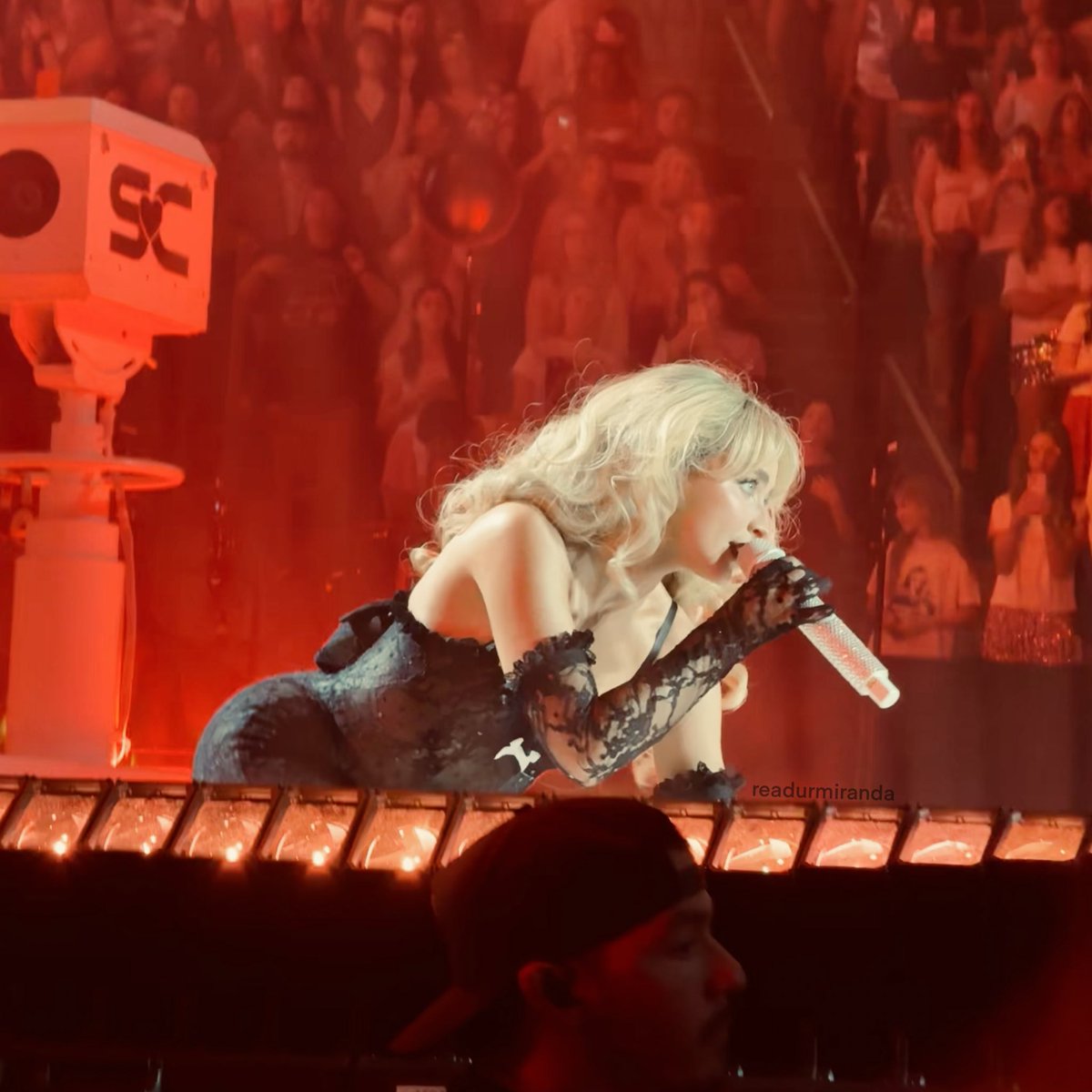 Miranda ⸆⸉🐾 tweet media