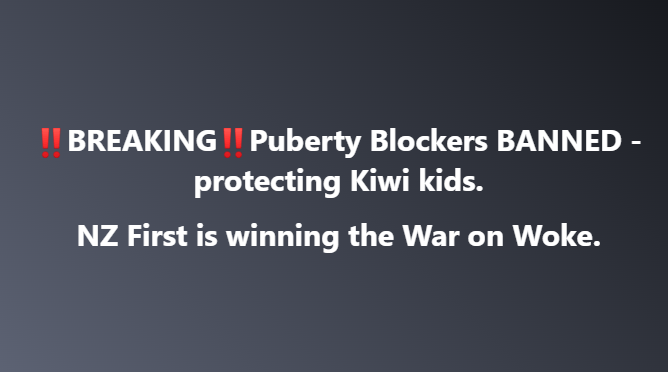 New Zealand First (@nzfirst) on Twitter photo 