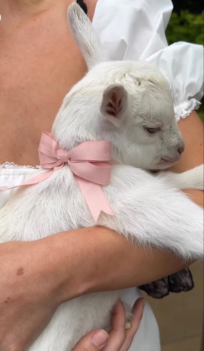 ♡ (@heart_jpg) on Twitter photo 