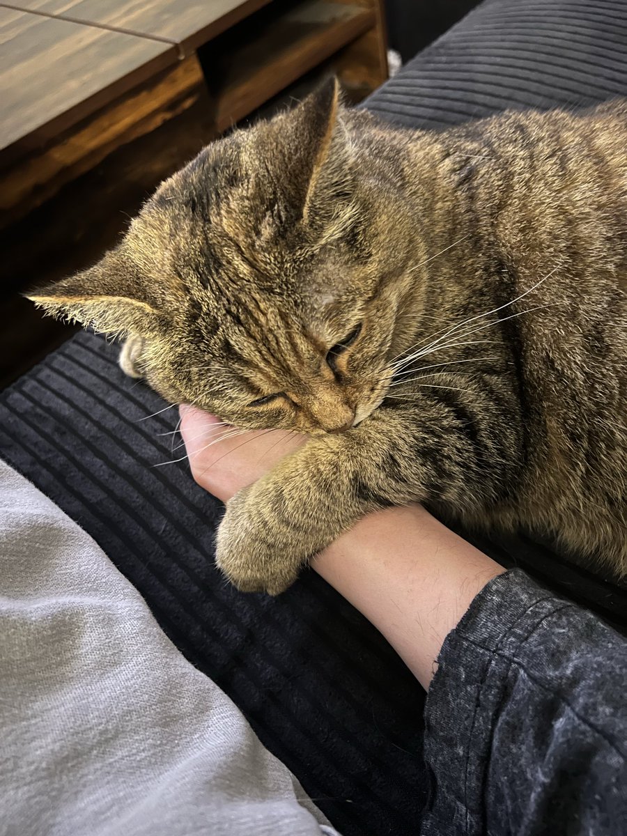 TCWHITTYY's tweet image. She’s getting old, so I’ll always capture these moments we’re sharing together