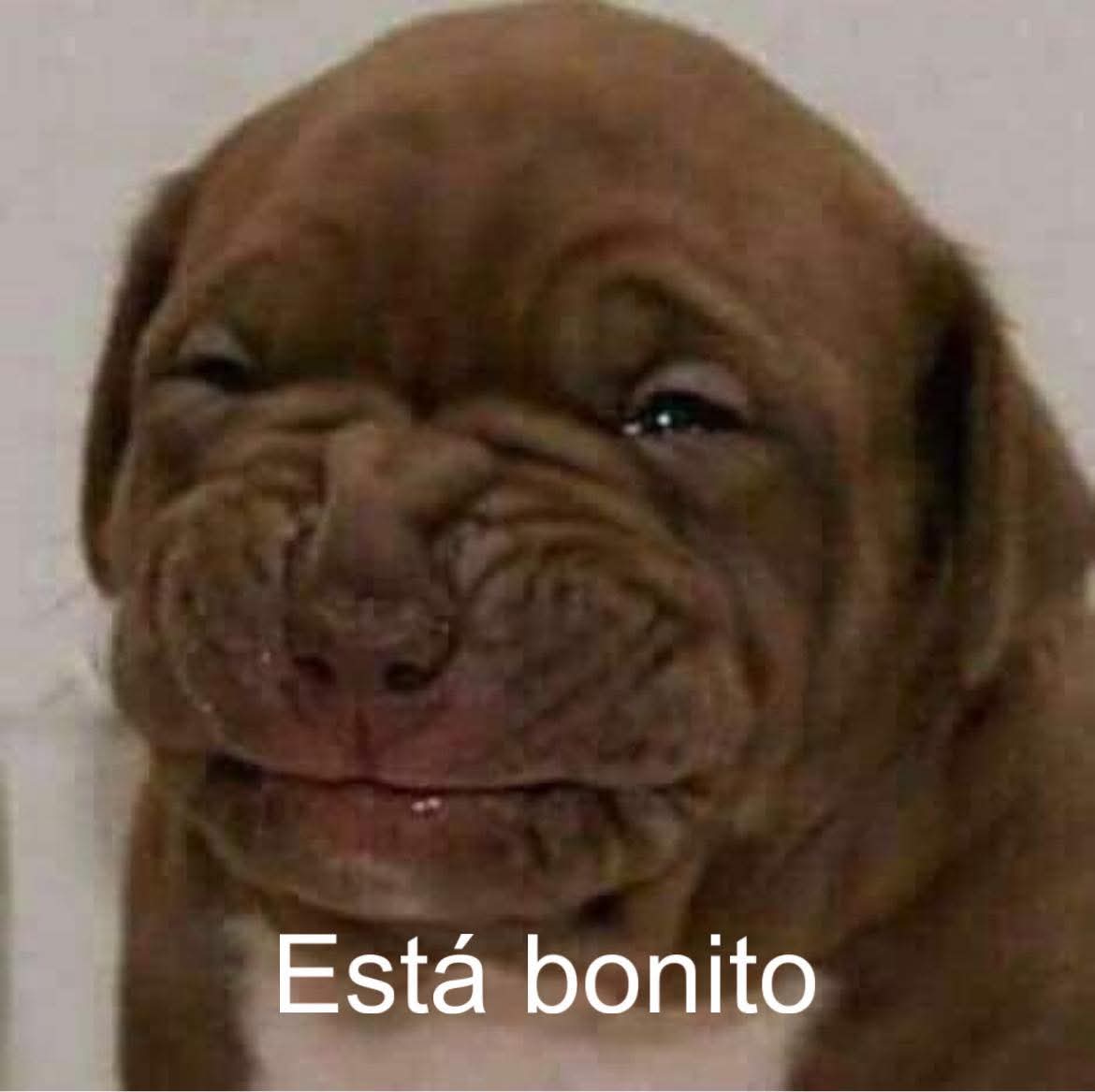 TuExdeVerdad's tweet image. Yo el 14 de junio viendo un partido de fase de grupos del Mundial 2026 entre Haití y Uzbekistán: