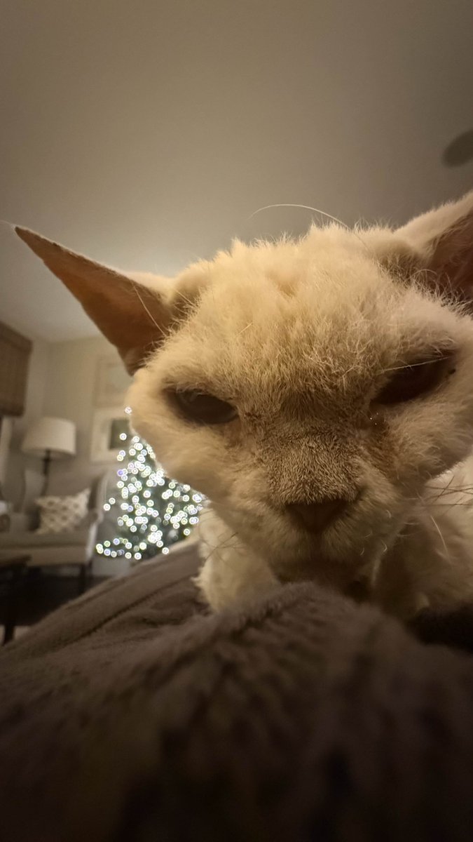 the creature beckons you forth