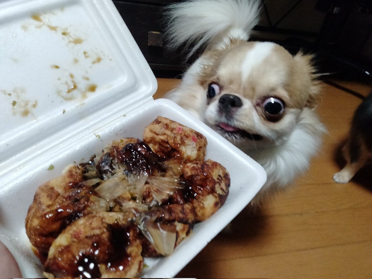 echigoyamoke's tweet image. 昨晩の仕入れ