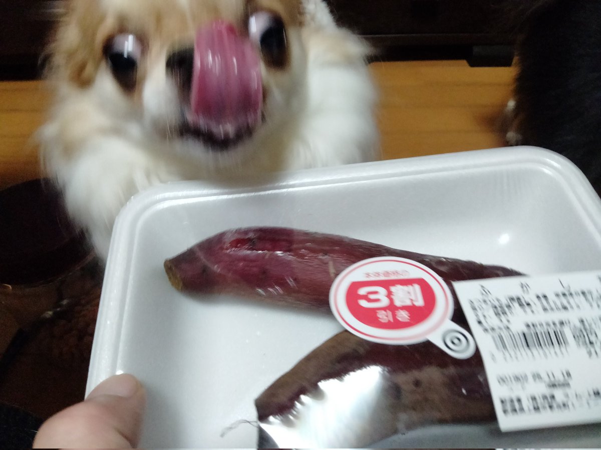 echigoyamoke's tweet image. 昨晩の仕入れ