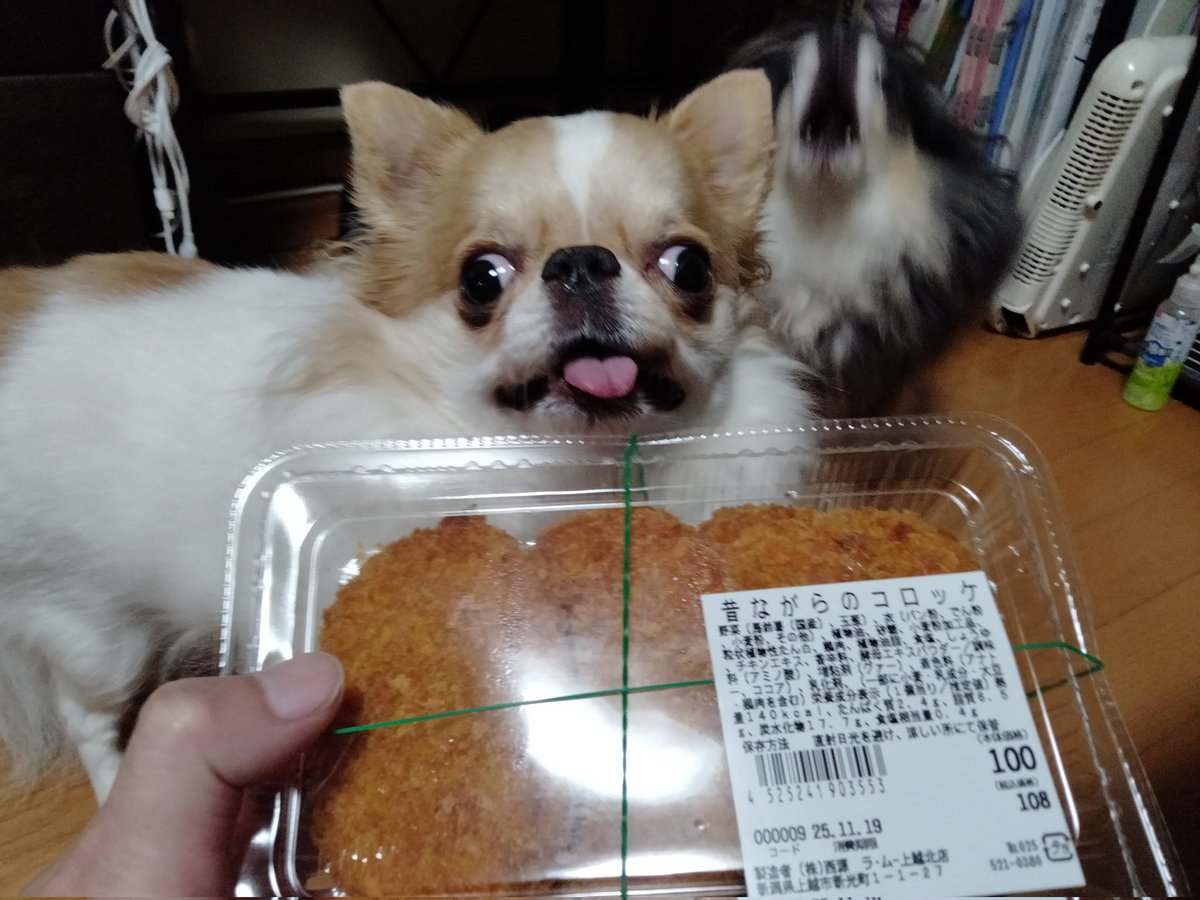 echigoyamoke's tweet image. 昨晩の仕入れ