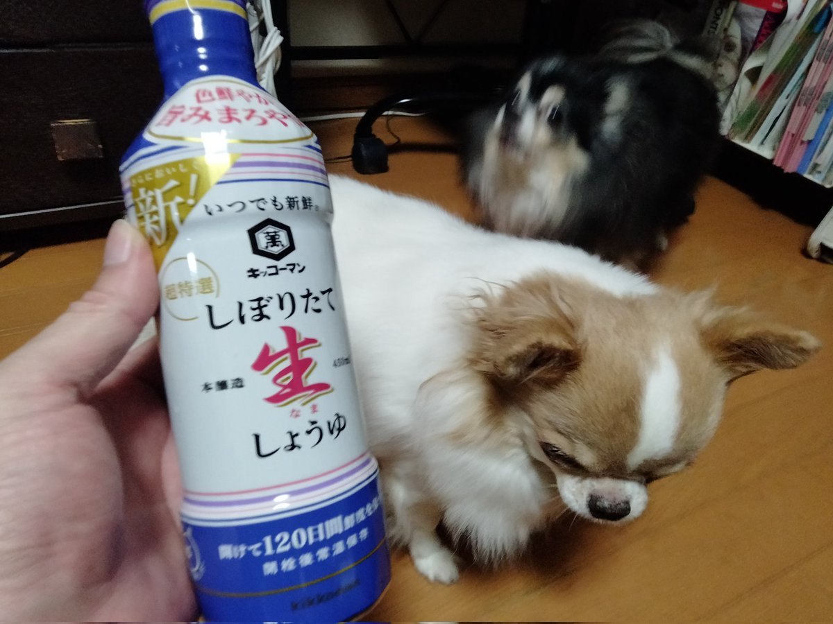 echigoyamoke's tweet image. 昨晩の仕入れ