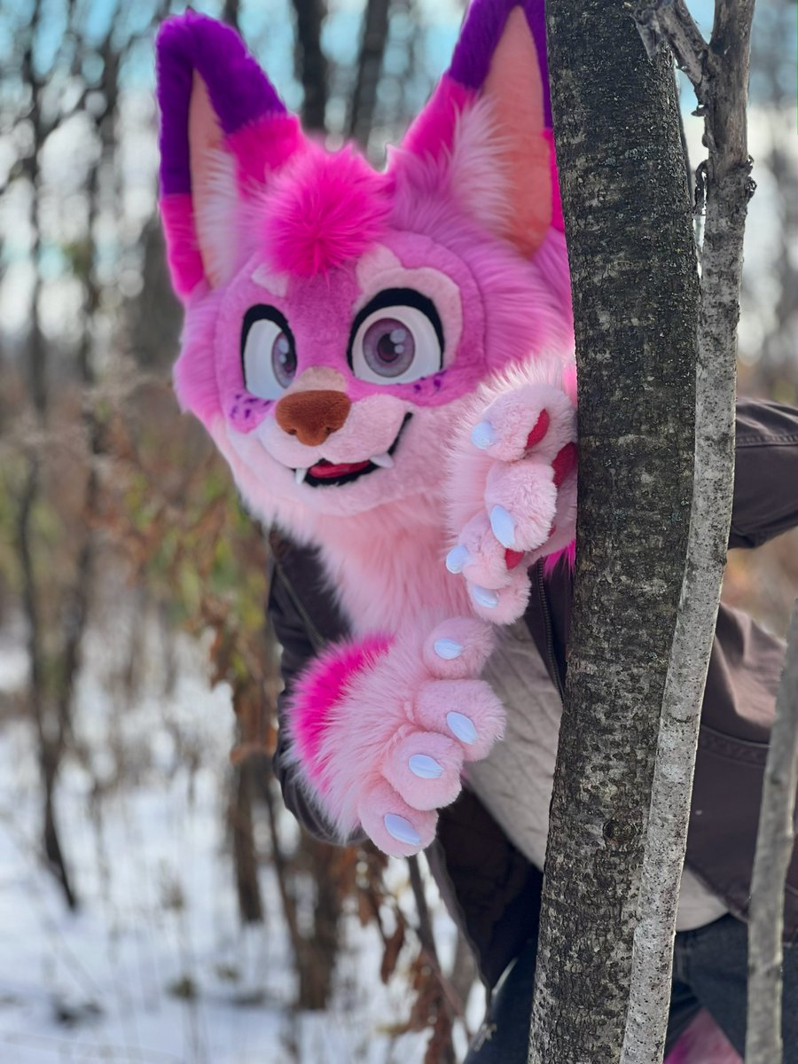 KokouUwU's tweet image. ❄️Winter is coming!❄️
#fursuit #furry