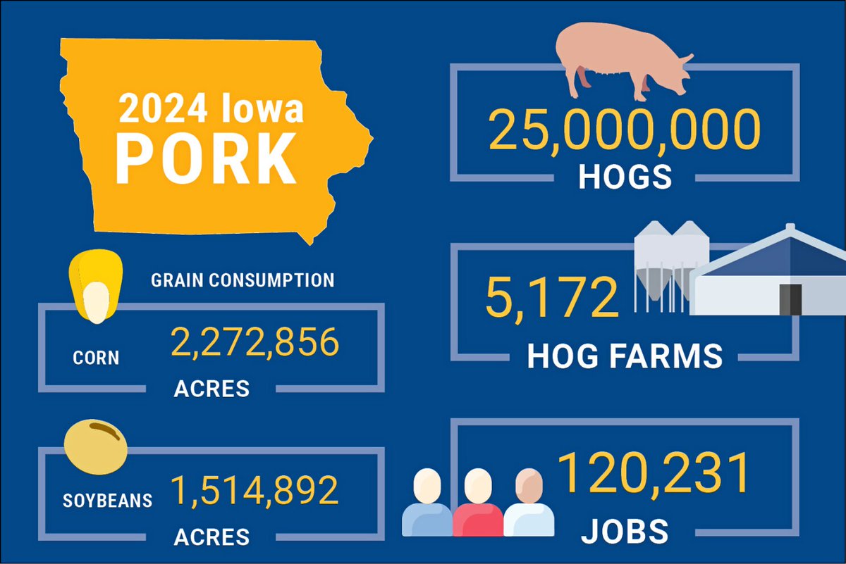 owenmiller75's tweet image. The difference: No one in Iowa would turn their back on the pork industry ! 🐷