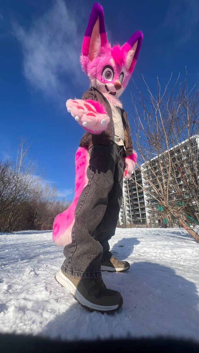 KokouUwU's tweet image. ❄️Winter is coming!❄️
#fursuit #furry