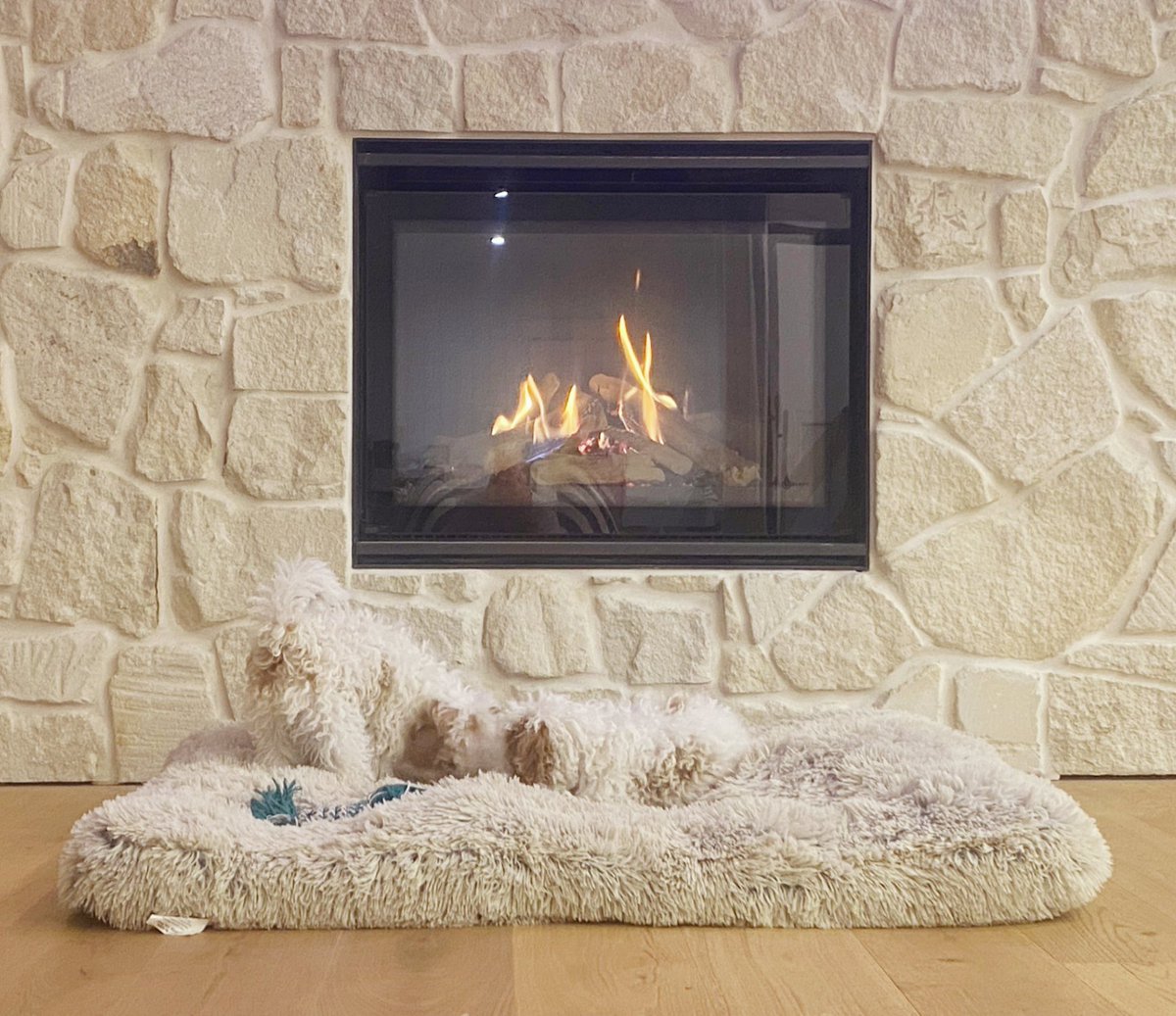 aussietecture's tweet image. Fireplace with Foster Irregular Walling.

#sandstone #stonecladding #hampton #hamptonstyle #designinspiration #interior #fireplace #stonefireplace #fireplaceinspiration #interiorarchitect #interiordesign #stonewall #archidaily #architect
aussietecture.com.au