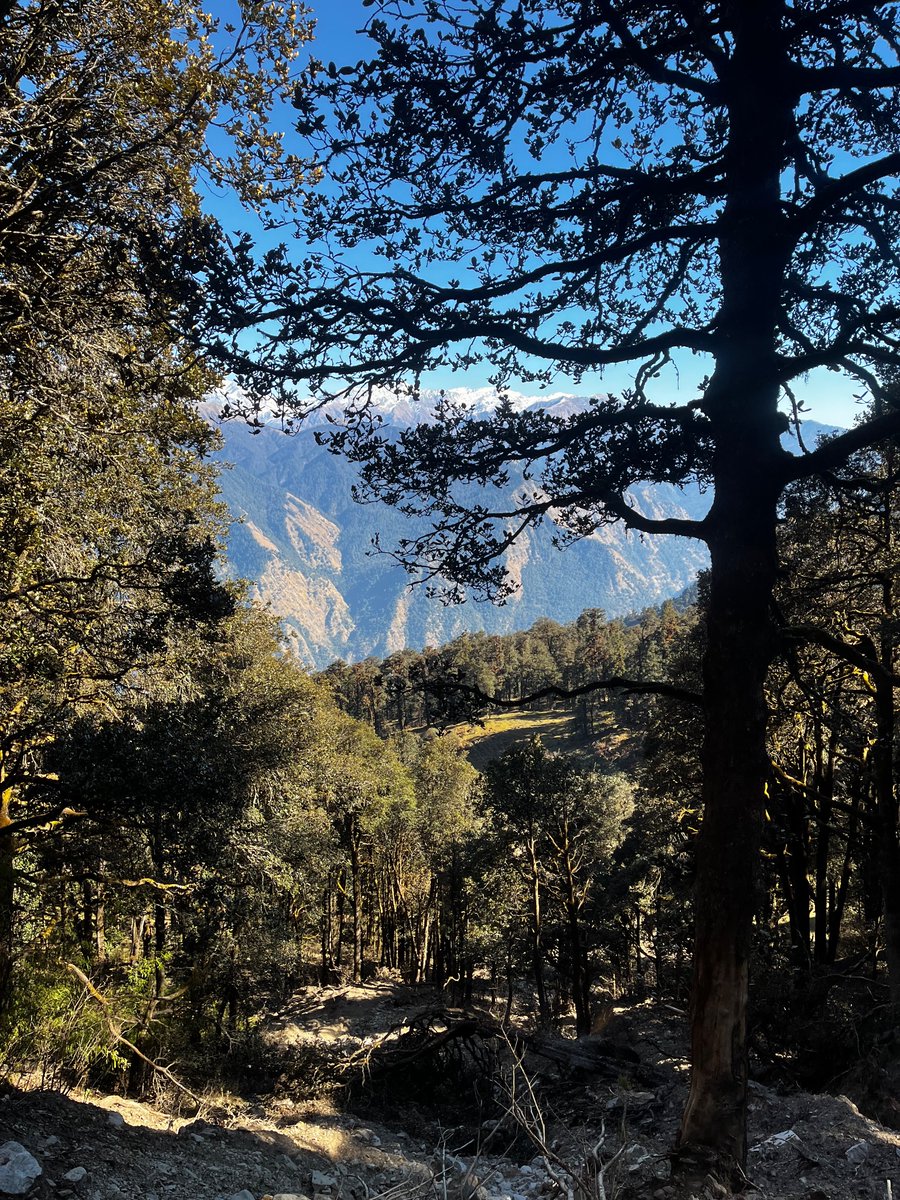 wheeedee's tweet photo. I climbed a mountain and it's getting really hard to shut up about it https://t.co/HAcLMkDQmo