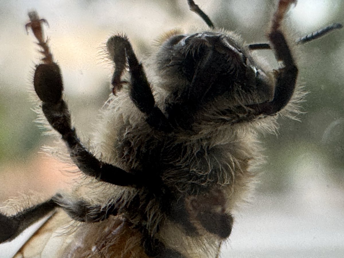 ClassTerror's tweet image. 