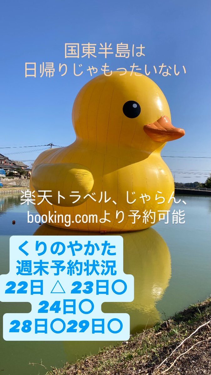 ラバーダックが鎮座している国東で 民泊やってます 今週末の3連休および次の週末 空きがございます 宿からアヒルまで 車で30分かかります 予約は 楽天トラベル、じゃらん https://t.co/uB1tWtio1Pからどうぞ #ラバーダック #大分県国東市 #kunisaki #くりのやかた