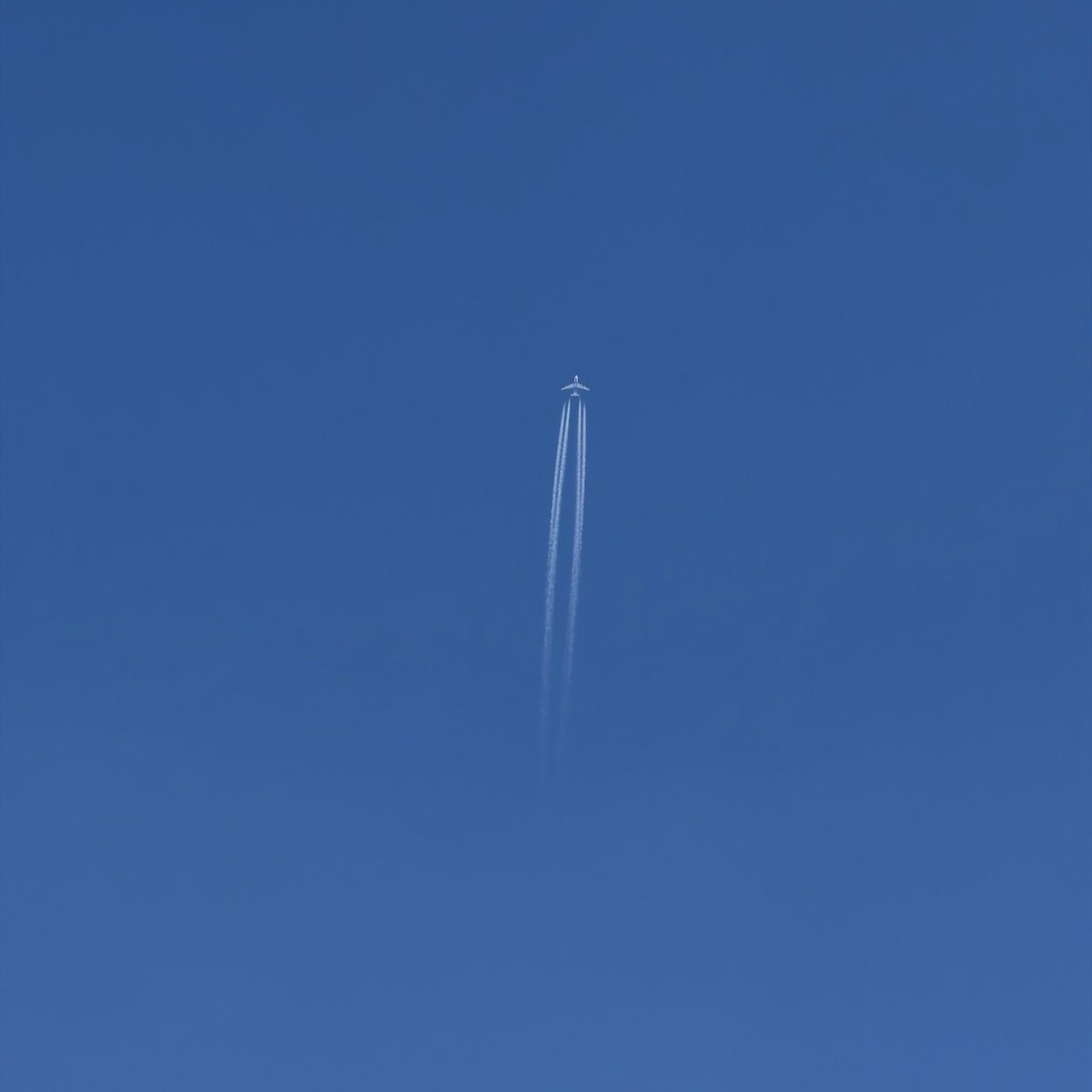 雲 ジャンボジェットの飛行機雲🤩 JA14KZ NRT ✈︎ PVG KZ225 B747-8 #NCA