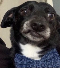 Alejandro_TP25's tweet photo. La cara de Calypso cuando escuchó la crítica de Natalia JAJAJA.
#LMD7 #LAMASDRAGA7 https://t.co/f29j7ik51q