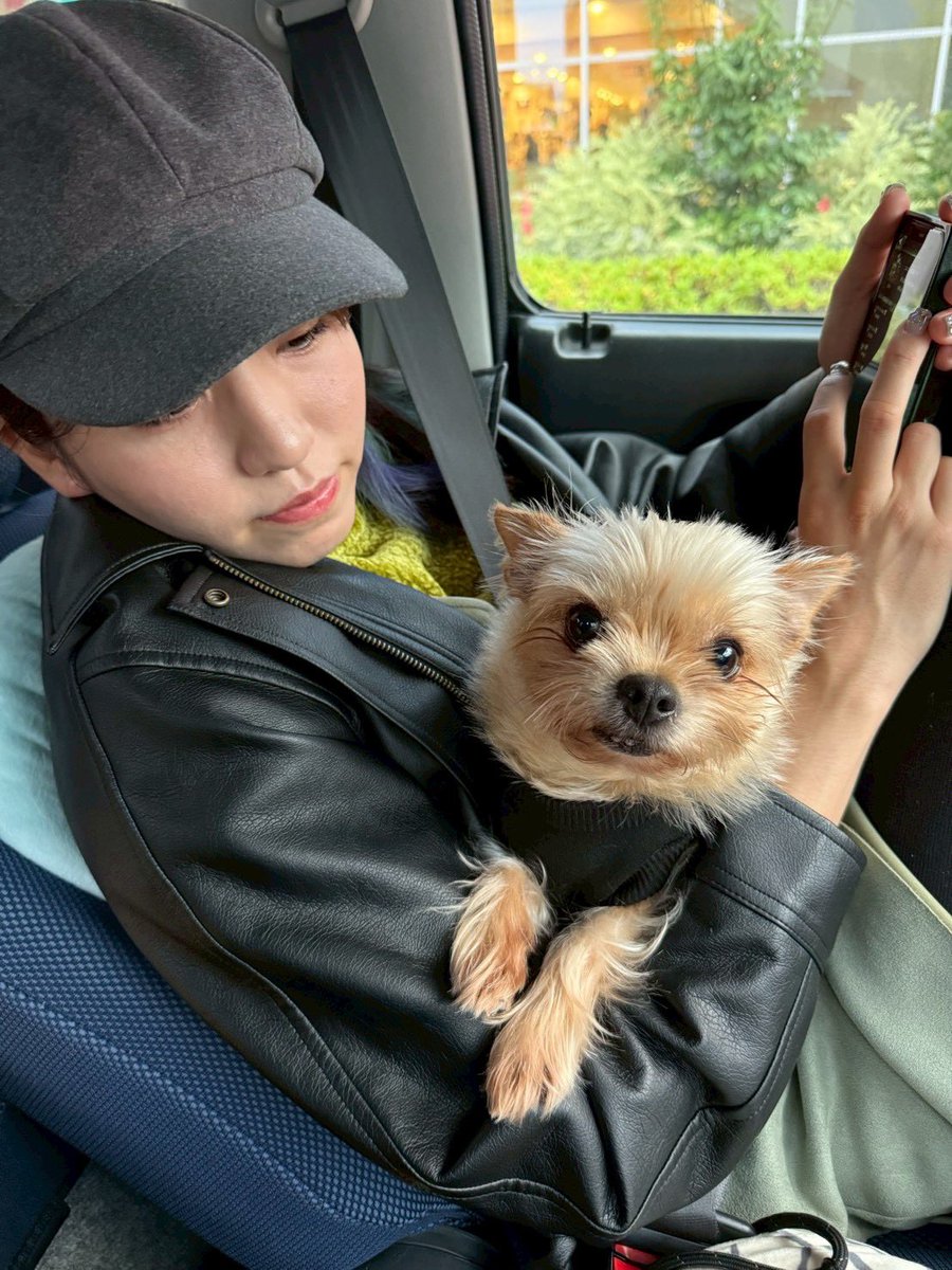 ぱんちゃん 璃奈😈⚡️(次戦12/30🥊) (@panchanrina) / Posts / X