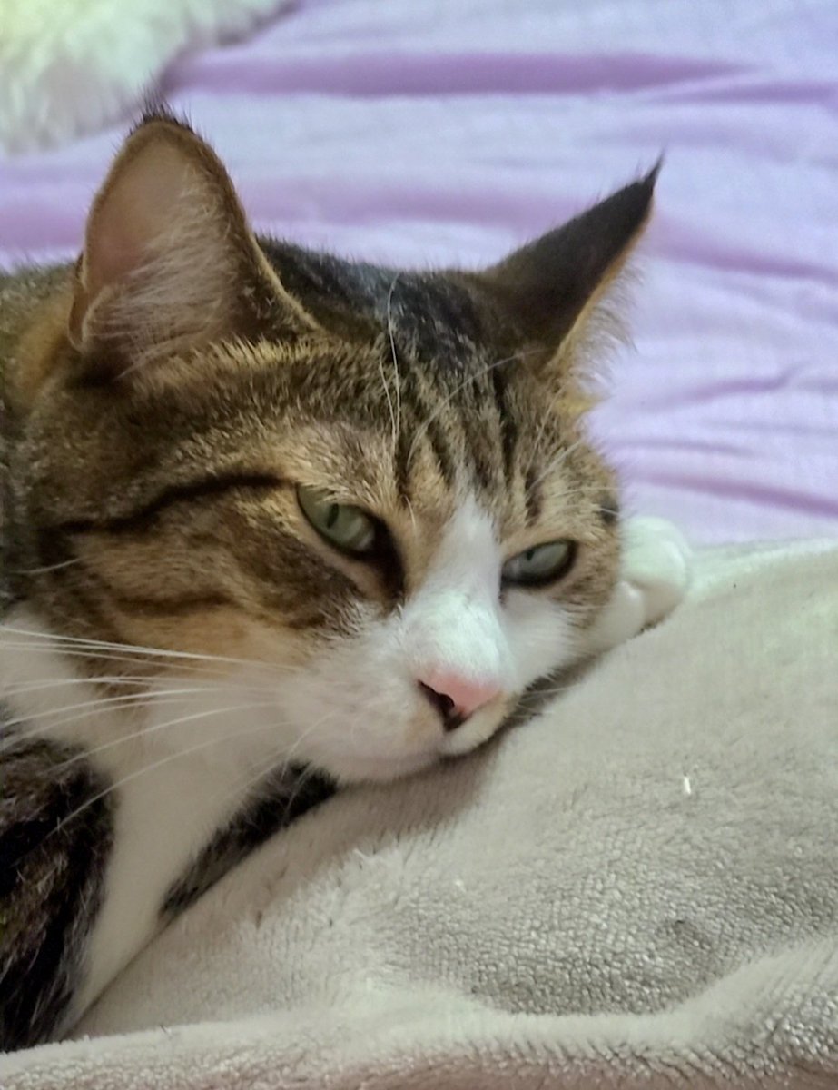 marimo様 マリモ on X