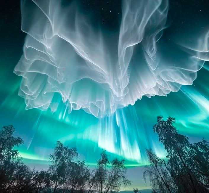 InterestingSci1's tweet image. Good Morning X Family..
incredibly rare &apos;White Auroras&apos; also know as &apos;Celestial Frost
 Auroras&apos; seen last night over Tromsø, Norway 🇳🇴