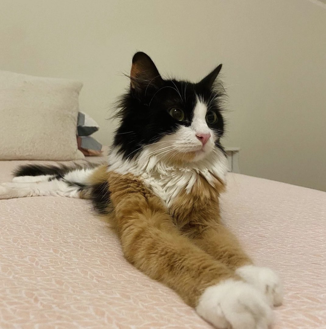 ReddCinema's tweet image. she grew