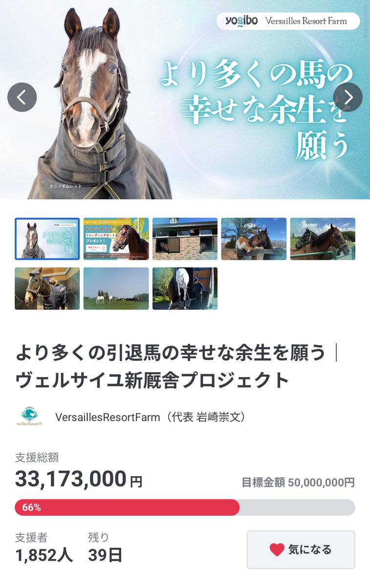 天皇賞・秋を思い出す、エイシンフラッシュの“12番ゼッケン”仕様で撮影