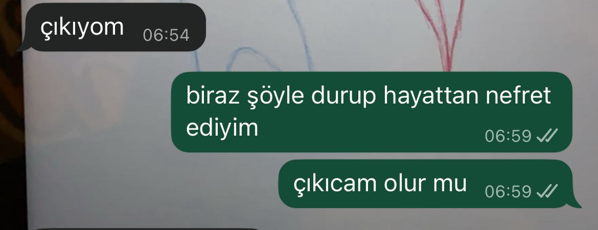 ‘istanbul’da yaşayanlar çok şanslı abi ben olsam her sabah sahile iner sonra geçerdim işe’