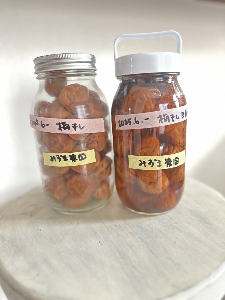 ayairoha_lab's tweet photo. にっぽん丸クルーズ🛳️下船して3日目
なぜか🚢から降りても絶賛船酔中なので不調な胃のための
雑炊のお供に、今年作った梅干を初めて食べた😊
めっちゃ美味しい💕
梅酢入りと梅酢なし2種にしてみた。
梅は作家 はらだみずきさん@startsfromhere の農園のもの✨
去年の梅は梅味噌にもしました https://t.co/oFrggRhChy