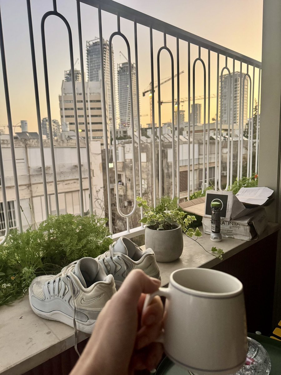 sarithecht's tweet image. כמעט 6. עציץ מהמטבח שהוצא להשתזף בשמש, נעלי כדורסל ושאריות זריחה

#הרחובות_ממריאים_לאט