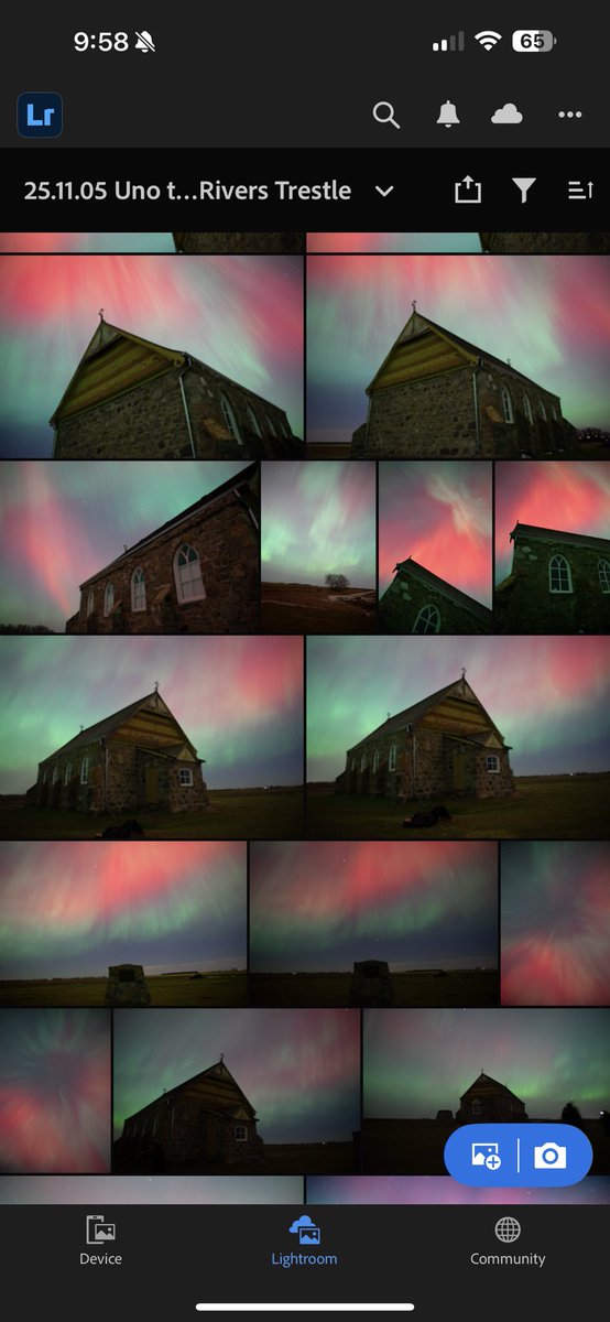 tracy gregorash tweet media