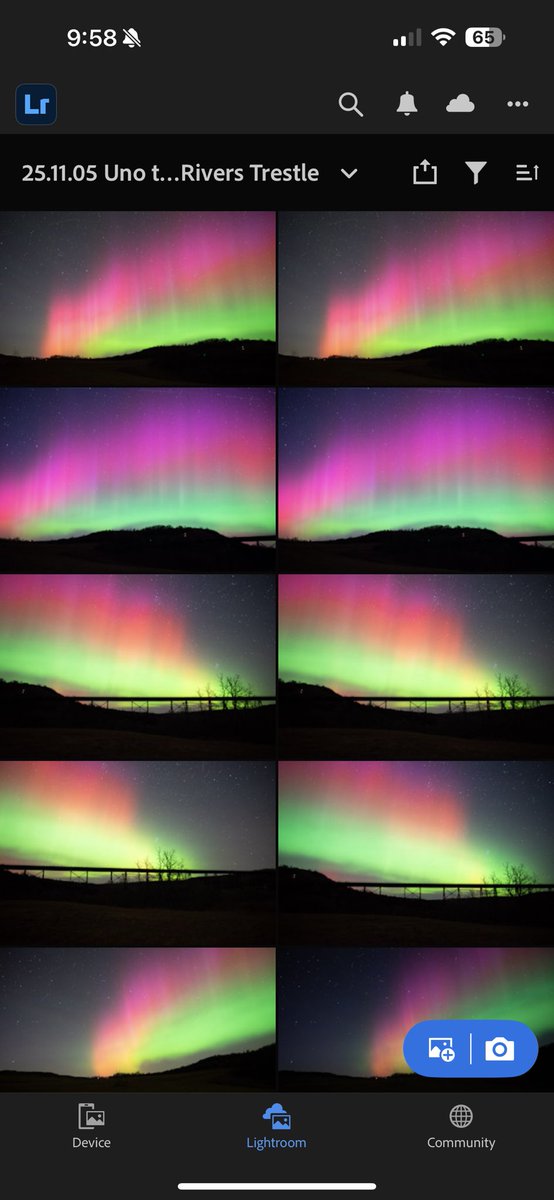 tracy gregorash tweet media