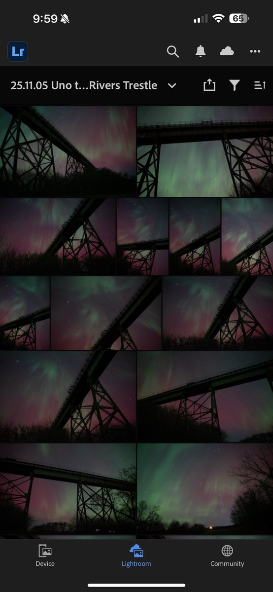 tracy gregorash tweet media