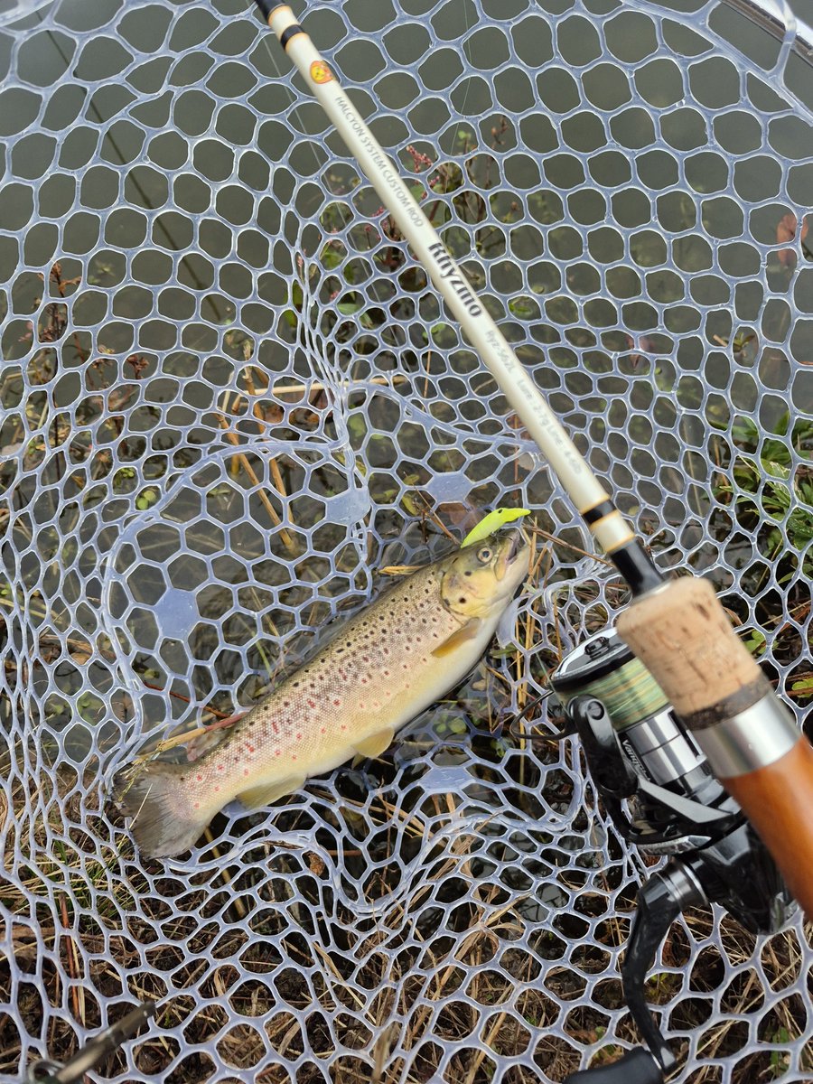 tukineNb8c's tweet image. 昨日もええミノーイングできましたわ