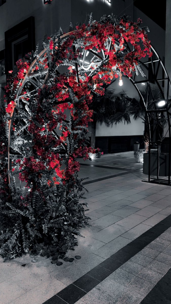 There’s a kind of beauty that makes you pause… this is it.
#SilentWarnings #RedVeil #NightMystique #ShadowEnergy