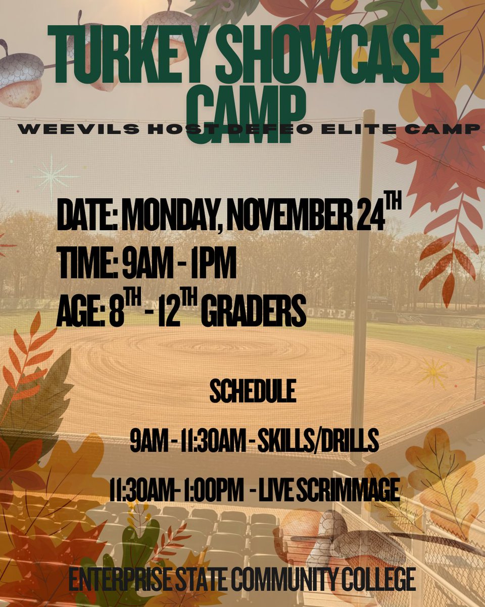 Stephanie DeFeo tweet media